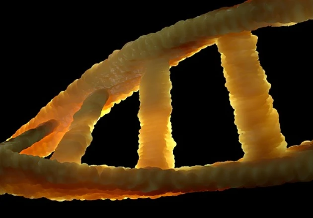 Imagem Capa da Formação