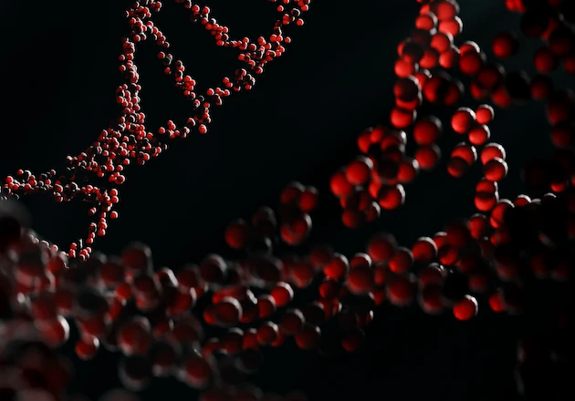 img 2 nutricao ortomolecular 2026